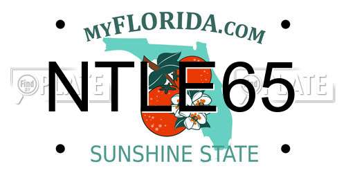 NTLE65 Florida License Plate
