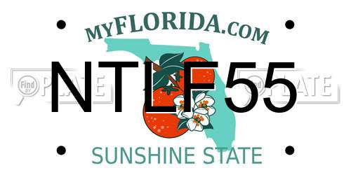 NTLF55 Florida License Plate