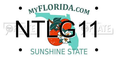 NTLG11 Florida License Plate