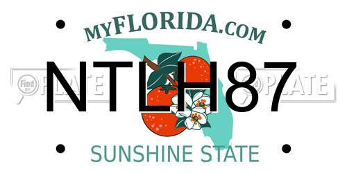 NTLH87 Florida License Plate