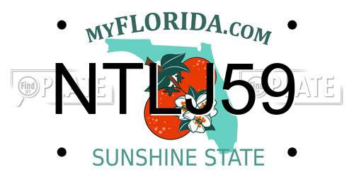 NTLJ59 Florida License Plate