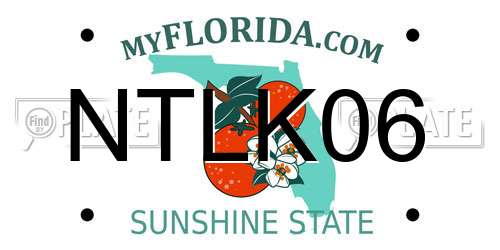 NTLK06 Florida License Plate