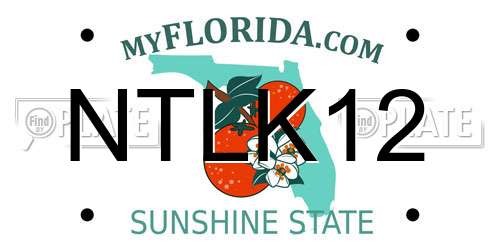 NTLK12 Florida License Plate
