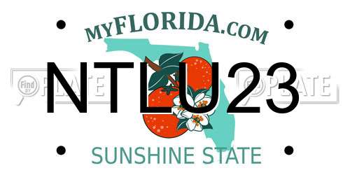 NTLU23 Florida License Plate