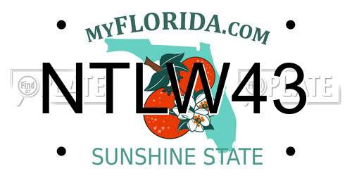 NTLW43 Florida License Plate
