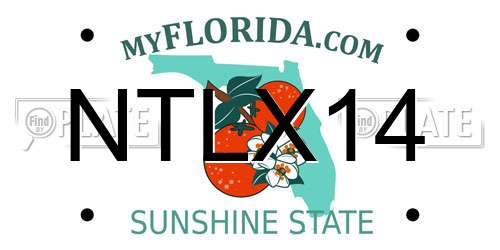NTLX14 Florida License Plate