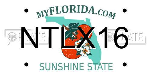 NTLX16 Florida License Plate