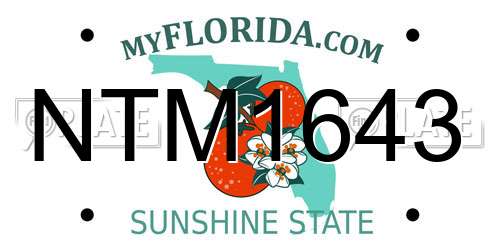 NTM1643 Florida License Plate