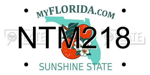 NTM218 Florida License Plate