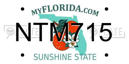 NTM715 Florida License Plate