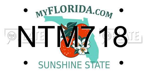 NTM718 Florida License Plate