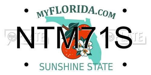 NTM71S Florida License Plate