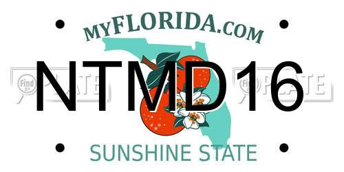 NTMD16 Florida License Plate
