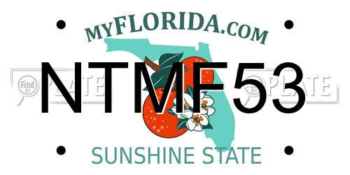 NTMF53 Florida License Plate