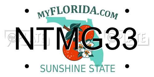 NTMG33 Florida License Plate