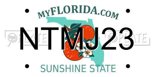 NTMJ23 Florida License Plate