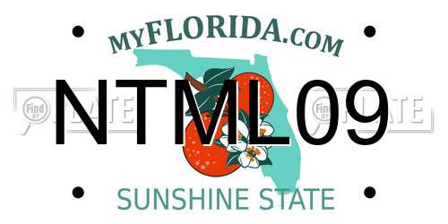 NTML09 Florida License Plate