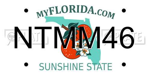 NTMM46 Florida License Plate