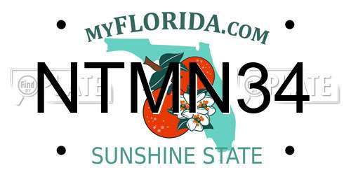 NTMN34 Florida License Plate