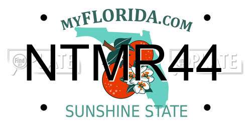 NTMR44 Florida License Plate