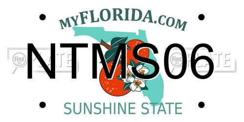 NTMS06 Florida License Plate