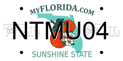 NTMU04 Florida License Plate