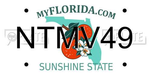 NTMV49 Florida License Plate