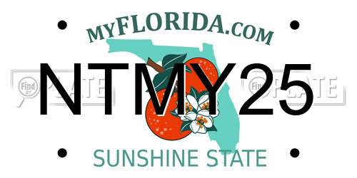 NTMY25 Florida License Plate