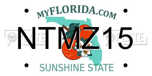 NTMZ15 Florida License Plate