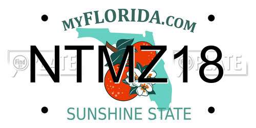 NTMZ18 Florida License Plate