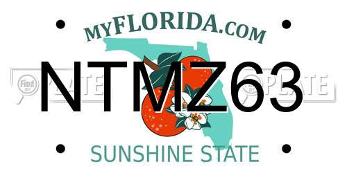 NTMZ63 Florida License Plate