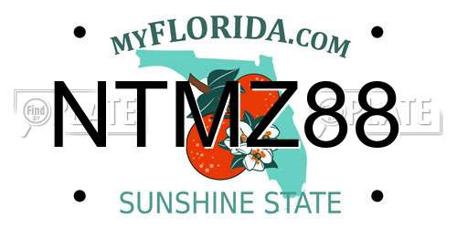 NTMZ88 Florida License Plate