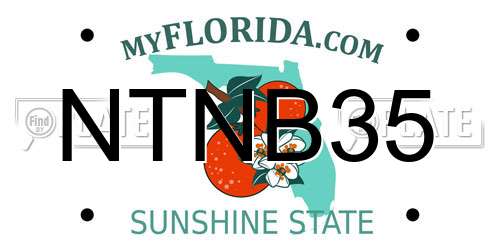 NTNB35 Florida License Plate
