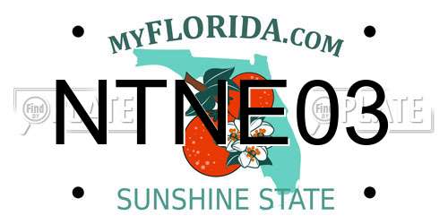 NTNE03 Florida License Plate