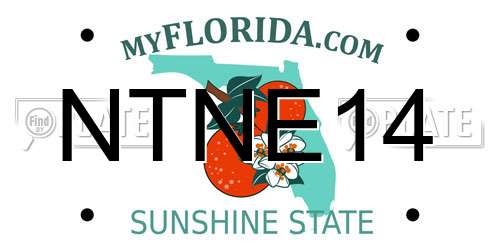 NTNE14 Florida License Plate