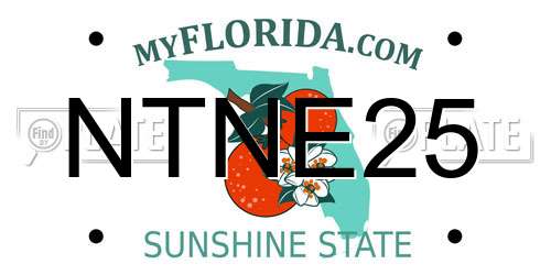 NTNE25 Florida License Plate