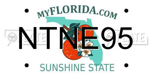 NTNE95 Florida License Plate