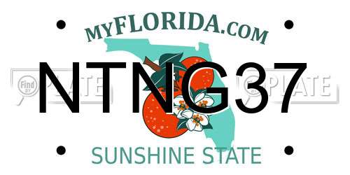 NTNG37 Florida License Plate