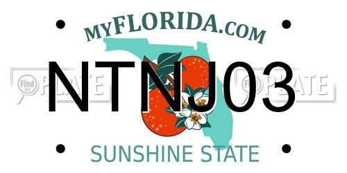 NTNJ03 Florida License Plate