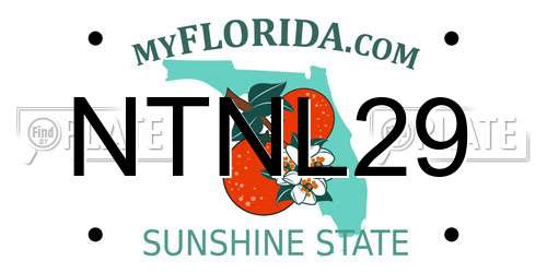 NTNL29 Florida License Plate