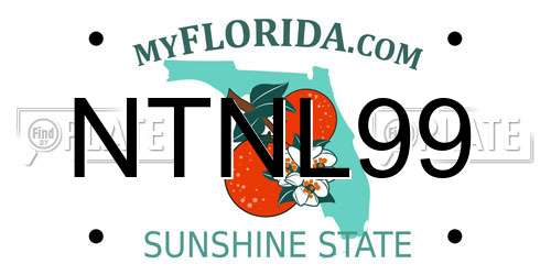NTNL99 Florida License Plate