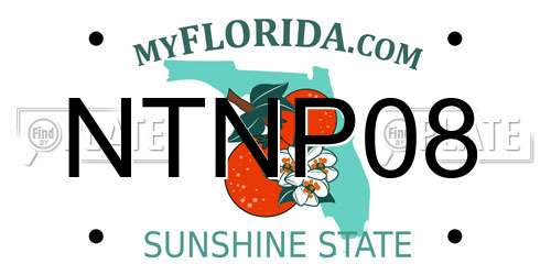 NTNP08 Florida License Plate