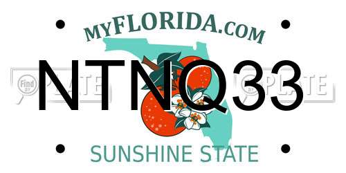 NTNQ33 Florida License Plate