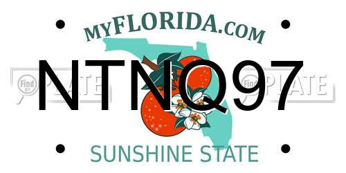 NTNQ97 Florida License Plate