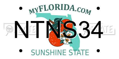 NTNS34 Florida License Plate