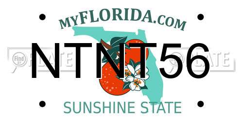 NTNT56 Florida License Plate