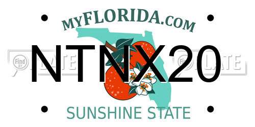 NTNX20 Florida License Plate
