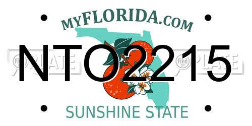 NTO2215 Florida License Plate