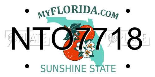 NTO7718 Florida License Plate