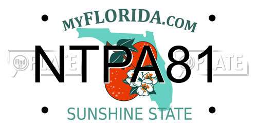 NTPA81 Florida License Plate
